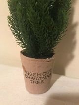 2 Small tabletop pine Trees - SALE image 3