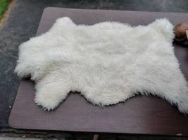 Lambskin  -  17 – 24 inches wide, 28 – 34 inches length, approx. - $65.00