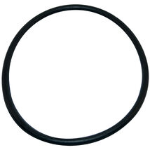 Aladdin O218 O Ring For Sta-Rite Dura Glas - $10.86