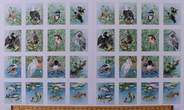 23&quot; X 44&quot; Freshwater Wildlife Birds Fish Animals Cotton Fabric Panel D571.61 - £16.65 GBP