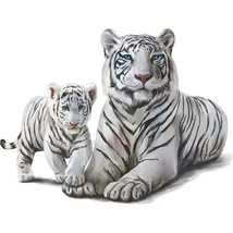 Realistic White Tigers Mother &amp; Cub 3D Wall Decal 15.3&quot; x 11.8&quot; NEW! - £5.43 GBP