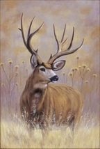Deer on the Grassland Handmade Oil Painting Unmounted Canvas 24x36 inches - £393.45 GBP