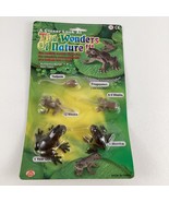 A Closer Look At The Wonders Of Nature Frog Metamorphosis Realistic Mode... - $558.82 MXN