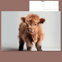  &quot;Mini Moo: Adorable Baby Highland Cow&quot; Cute Postcard FREE SHIPPING - £4.72 GBP