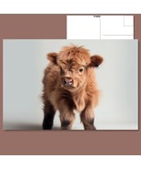  "Mini Moo: Adorable Baby Highland Cow" Cute Postcard FREE SHIPPING - $5.93