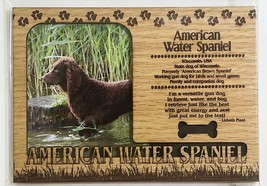 AMERICAN WATER SPANIEL Dog Profile Laser Engraved Wood Picture Frame Magnet - $9.90