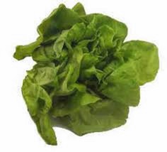 Lettuce Garden Collection, Heirloom, Organic Seeds, 4 Top Varieties - $4.99