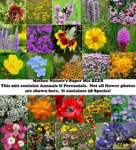 Mother Nature’S Super Mix Bees 38 Species Flowers Wildflowers 1000 Seeds - £7.02 GBP
