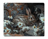 Animal Rabbit Metal Print, Animal Rabbit Metal Poster - $11.90