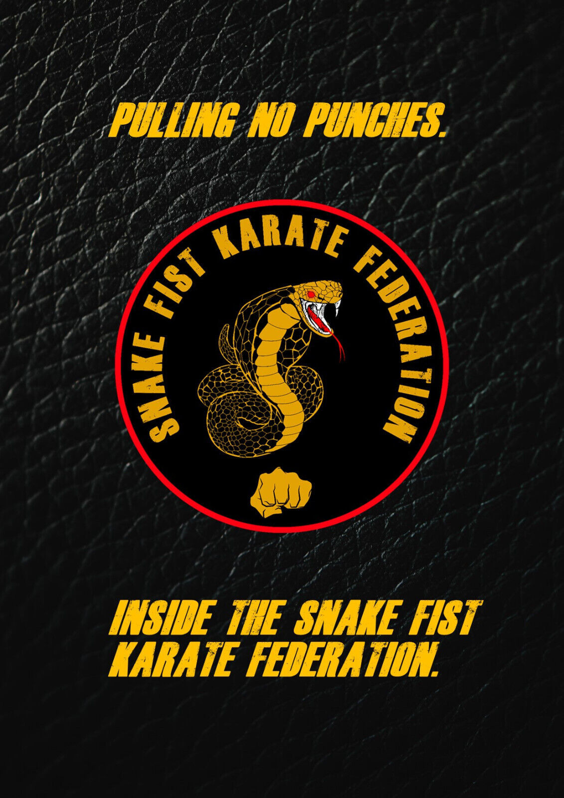 Primary image for PULLING NO PUNCHES:INSIDE THE SNAKE FIST KARATE FEDERATION.THE SECOND SFKF BOOK.