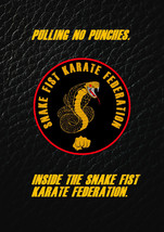 PULLING NO PUNCHES:INSIDE THE SNAKE FIST KARATE FEDERATION.THE SECOND SF... - £3.94 GBP