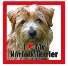 I Love My Dog Ceramic Photographic Square Coaster with Breed Name (Norfolk Terri - £2.52 GBP