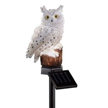 Trenton Gifts LED Solar Owl Light, Garden Stake - White - £11.04 GBP