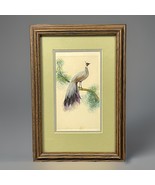 Vintage Feather Bird Wall Art Mid Century Framed White &amp; Purple Long Tail - €28,13 EUR