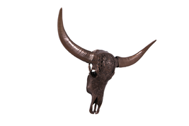 Bronze Bull Skull Life Size Statue - £246.27 GBP