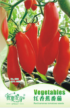 Original Pack 20 Seeds Red Banana Tomato Seed Organic Heirloom Vegetables - $7.99