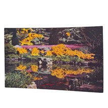 Postcard Goldfish Pool Rock Garden Royal Botanical Gardens Hamilton Ontario CA - £5.44 GBP