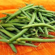 50 Seeds Tendergreen Green Bean Phaseolus Vulgaris Vegetable  - £7.60 GBP