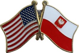 AES USA American &amp; Poland Eagle Country Flag Bike Hat Cap Lapel Pin - £2.72 GBP
