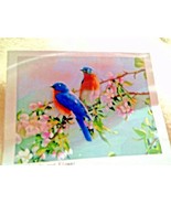DIY Paint By Number Kit Lovebirds &amp; Flowers 16&quot; x 20&quot; Canvas - £7.17 GBP