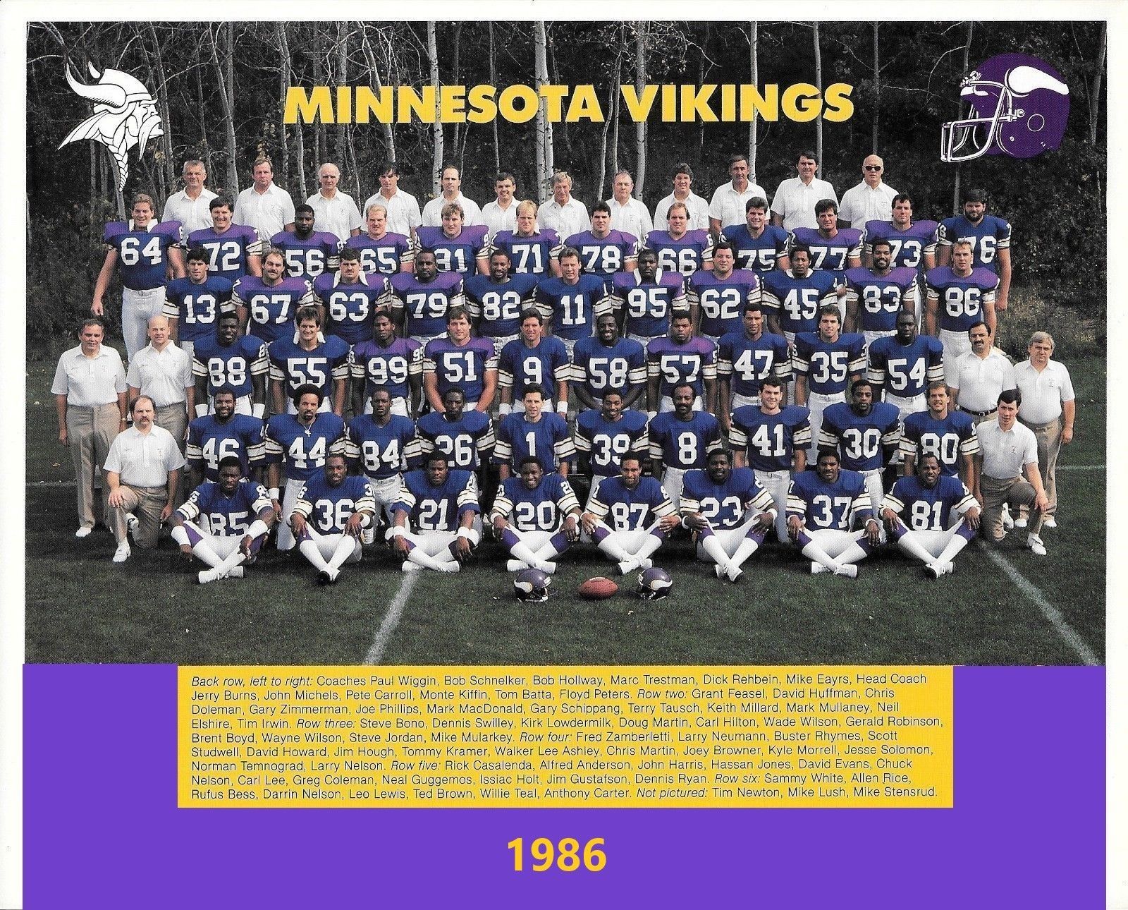 Primary image for 1986 MINNESOTA VIKINGS 8X10 TEAM PHOTO FOOTBALL PICTURE NFL