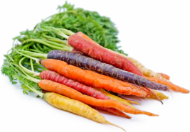 300 Imperator Carrot Seeds 2024 Usa Fresh New - £5.83 GBP