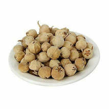 Paneer Dodi Paneer Doda Withania coagulans diabetes  herb 50 gram - $110.92 MXN