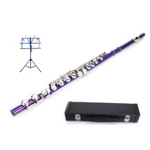 Purple Flute 16 Hole, Key of C with Carrying Case+Music Stand+Accessories - £94.35 GBP