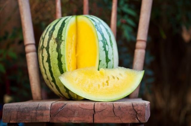 20 Seeds Watermelon Crimson Sweet Non-gmo Heirloom Item image 3