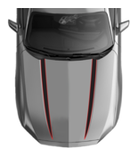 x2 2 Tone Hood Spear Vinyl Decals Fits Ford Mustang Ecoboost 2024+ - $73.50