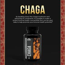 Chaga Dietary Supplement  90 Capsules Improved Health - $85.79