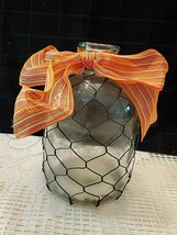 GLASS JUG WRAPPED IN CHICKEN WIRE - $435.17 MXN