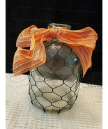 GLASS JUG WRAPPED IN CHICKEN WIRE - $437.72 MXN