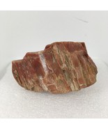 Petrified Wood Rough 6.7 Ounce Rock 3&quot; x 2&quot; x 2&quot; Stone Piece Reddish Bro... - $11.87