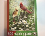 SPRINGBOK Puzzle Golden Light-Cardinals 500 Piece Jigsaw Puzzle - $8.56