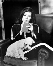 Diana Rigg sits on chair with poodle dog the Avengers TV series 8x10 inch photo - £7.66 GBP
