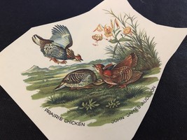 Item image 1 image 1