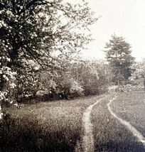 Fryeburg And Washington Landscape Maine 1924 Gravure Print New England D... - $369.97 MXN