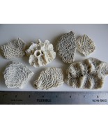 7 pieces Sea Coral for Aquarium or Decor-interesting patterns - £5.72 GBP