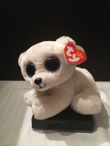 New 2020 TY Beanie Baby 6&quot; ARI White Polar Bear Stuffed Animal Plush Toy MWMTs - £9.02 GBP