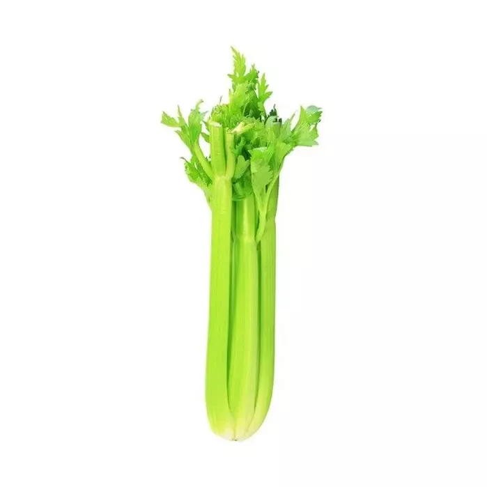CELERY 20 VEGETABLE SEEDS  - $6.31