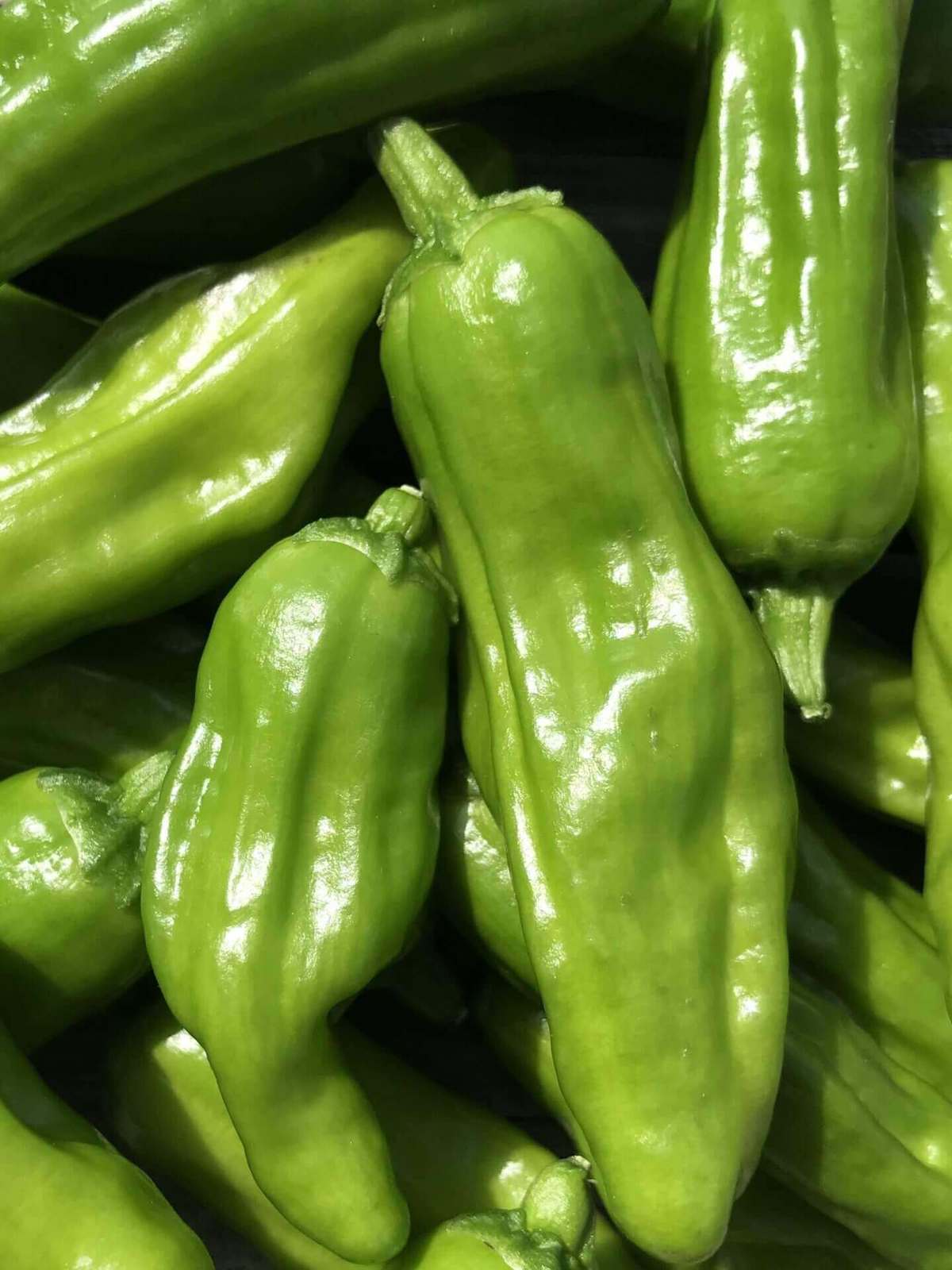 Primary image for Golden Greek Pepperoncini Pepper Seeds 30 Seeds Non Gmo Fresh New