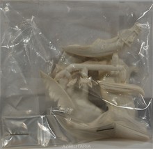 Historex Horse 54mm Figure  - $17.75