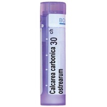 Calcarea Carbonica 9 Ch 15 Ch 30 Ch Boiron Homeomatic Supplement - $9.90