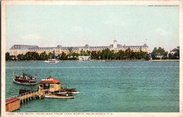The Royal Poinciana from Lake Worth . Palm  Beach Florida Vintage Postcard (C12) - £5.06 GBP