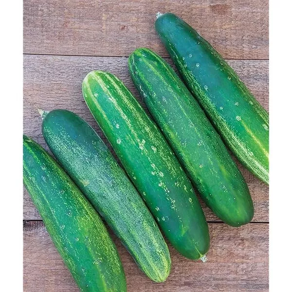 25 Seeds Diomede Cucumbers Edible Garden Fresh USA Fast Shipping - £12.75 GBP