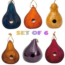 6 COLOR GOURD BIRDHOUSES - Set of Six: Red Blue Brown Orange Purple Natural - £123.58 GBP