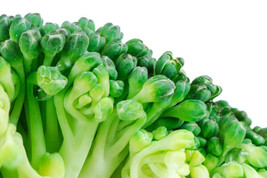 500 Seeds Broccoli Waltham Heirloom Seeds Garden Glamour Quickly - £6.44 GBP