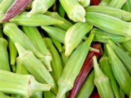 Guashi Store 100 Seeds Clemson Spineless Okra Seeds Organic Heirloom Summer Vege - £7.04 GBP