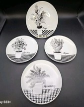 FITZ &amp; FLOYD Herb Salad Plates SET Of 4 Black &amp; White Dinnerware Sage Ca... - $18.35